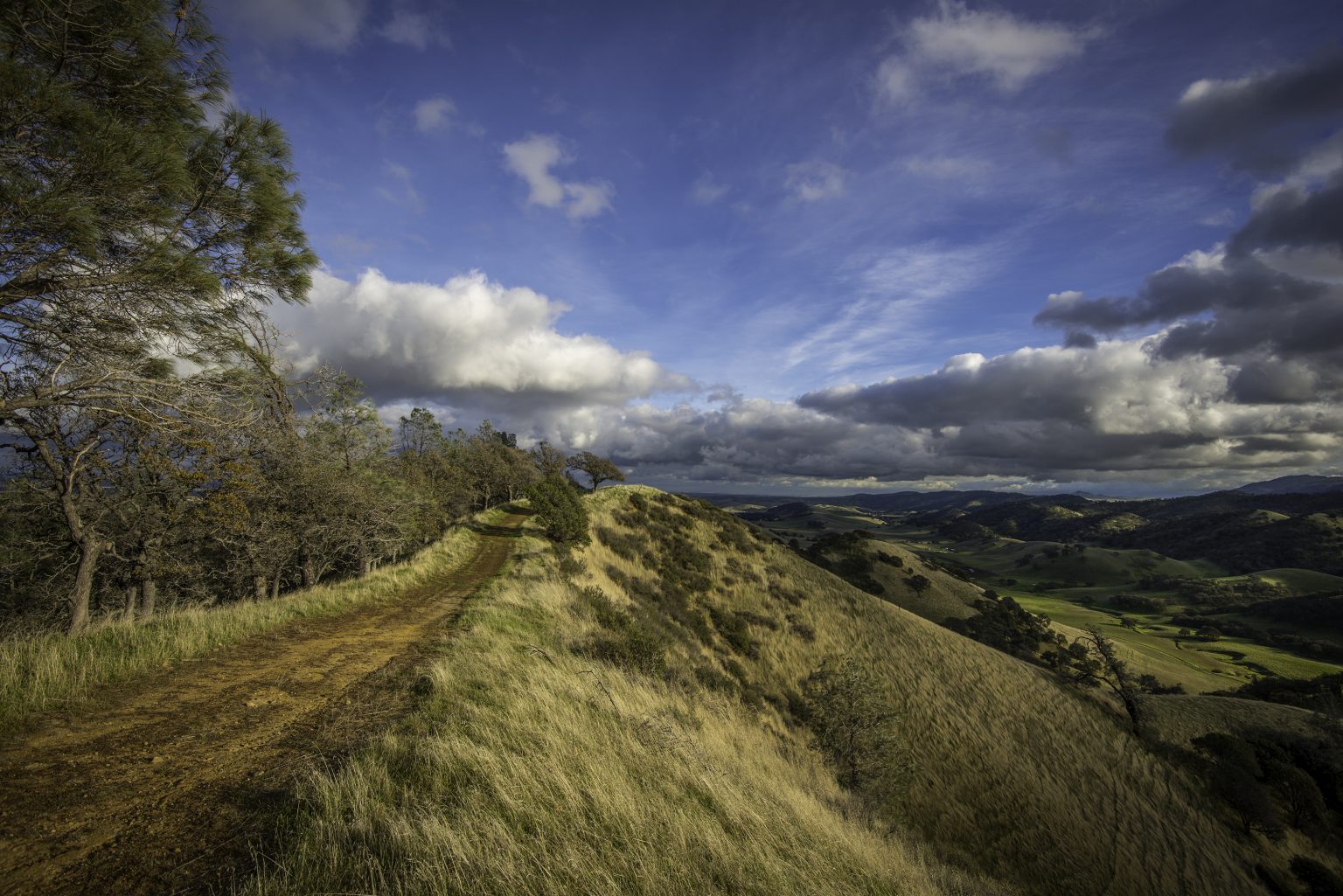 Conservation Ridges Home - National Habitat Conservation Plan Coalition